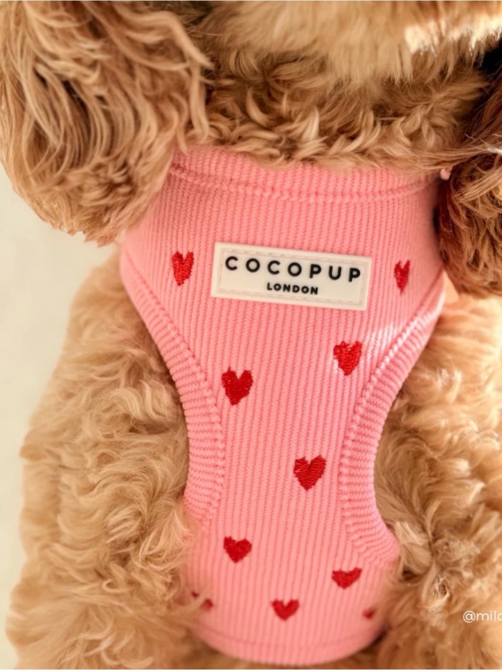 Cocopup Pink Heart Dog Harness